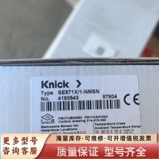 NMSN pH器 SE571X 非标价Knick科伲可