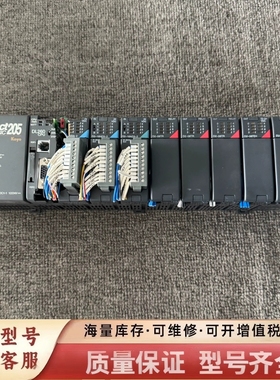 非标价Direct205 PLC工控机，带DL260 CPU模