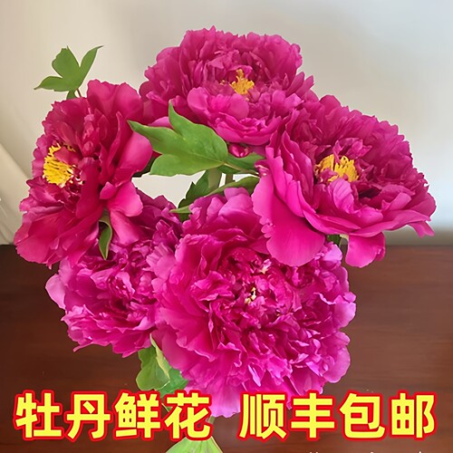 这家牡丹鲜花回购率100%