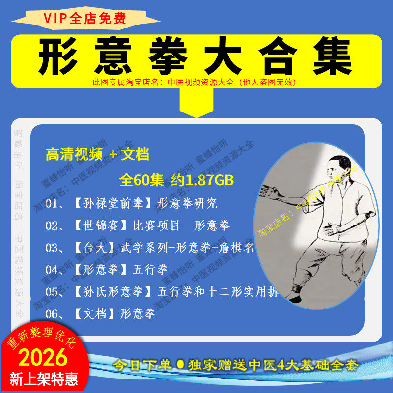 形意拳五行拳武术基础健身高清视频全集赠文档零基础自学课程