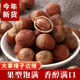 东北特产达维大果榛子新鲜坚果炒货薄皮孕妇零食香脆粒大饱满
