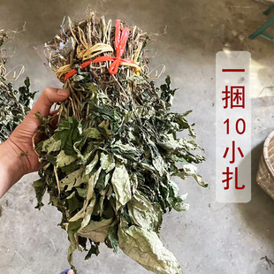 批发新兴特产白饭仔煲汤饭店山坑螺汤甘甜清热大山白饭草华腺萼木