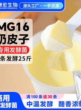 洲宏生物奶吧商用奶皮子酸奶菌种MG16粘稠拉丝分层菌粉菌种