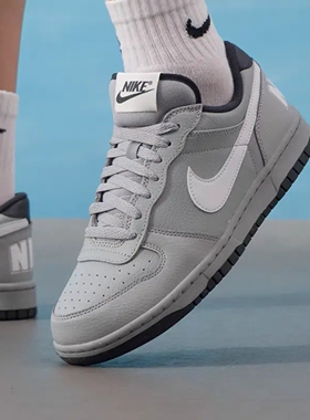 Nike/耐克BigLow男款简约百搭耐磨低帮大LOGO白灰板鞋355152-017