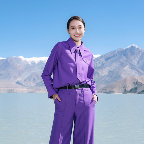 婉甸2025春季新品罗兰紫长袖衬衫简约风H型1241S07MS2