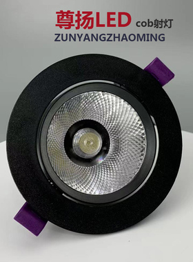 黑边led射灯嵌入式天花灯生鲜店cob聚光灯服装店黑色桶灯孔灯筒灯