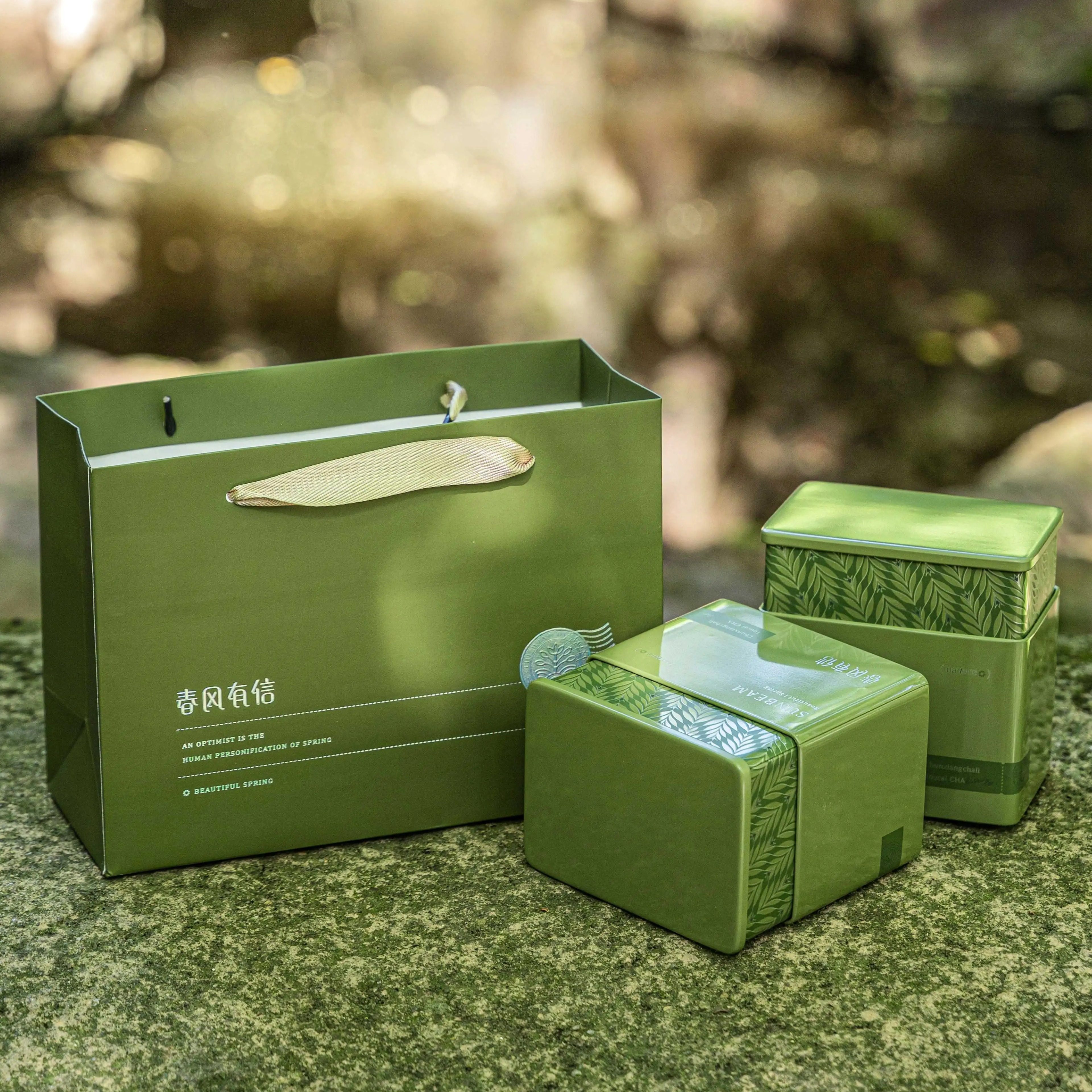 通用马口铁茶叶罐绿茶白茶空礼盒密封储存罐便携黄金芽包装盒定制 - 实物图
