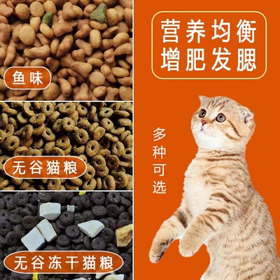 鱼味无谷猫粮挑嘴猫主粮增肥通用