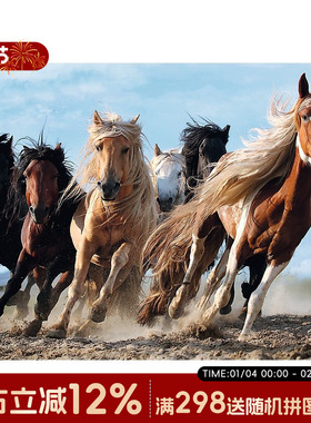 波兰进口拼图trefl 飞奔的马 1000片 益智玩具成人高难度拼图