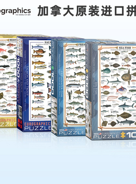 Eurographics加拿大进口拼图科普类鸟类恐龙鱼类1000片学生玩具