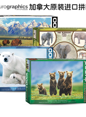 Eurographics 加拿大进口拼图成人拼图 北极熊和宝宝 1000片 玩具