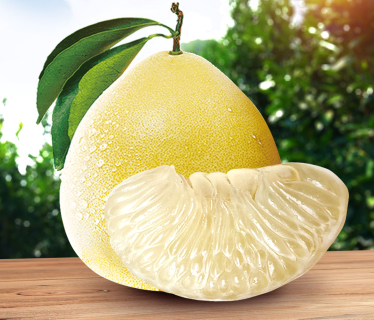 正宗原产吉安庐陵特产井冈蜜柚金兰金沙柚10斤白心甜新鲜现摘水果