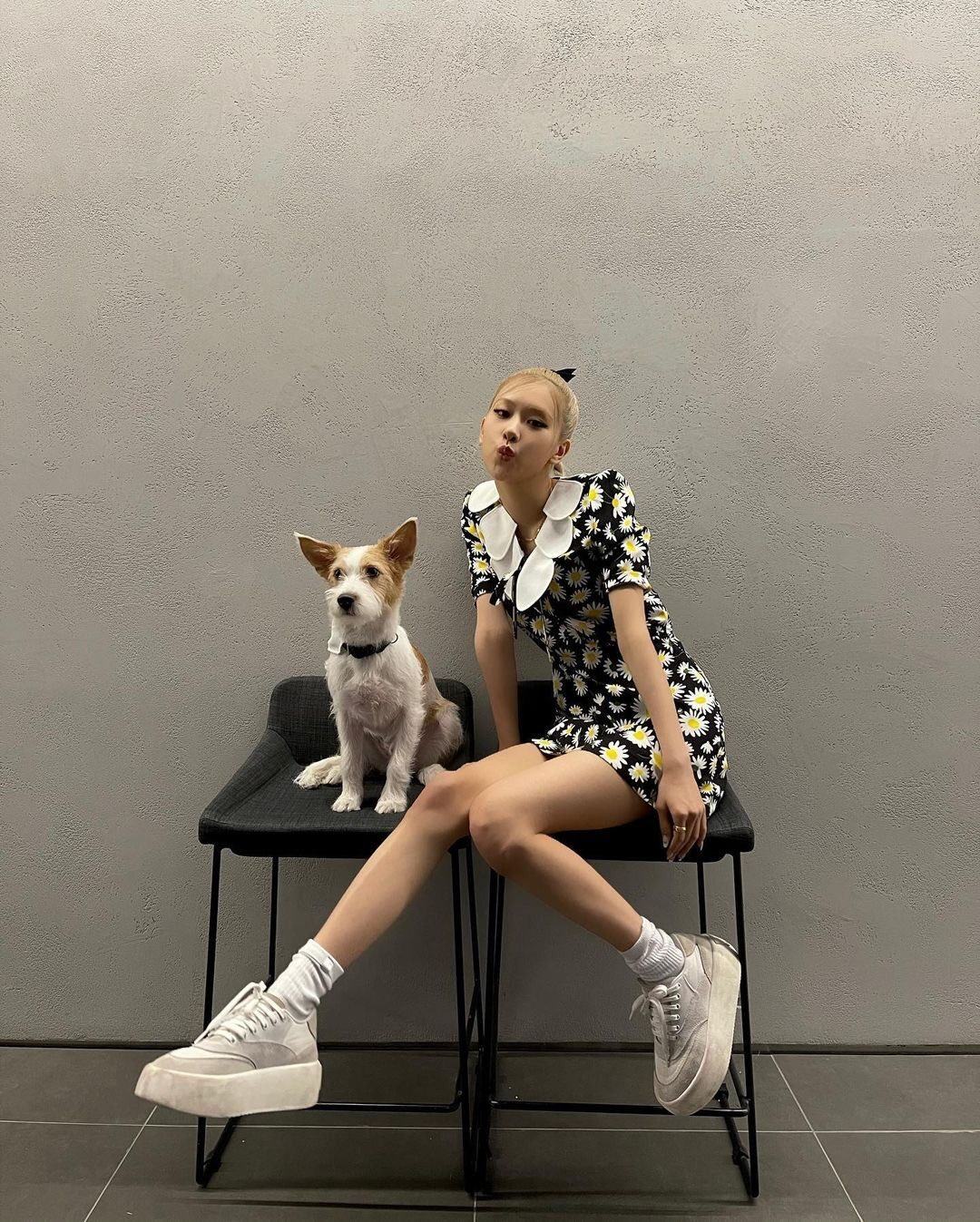 blackpink朴彩英rose徐璐同款鞋松糕厚底面包鞋小白鞋增高老爹鞋