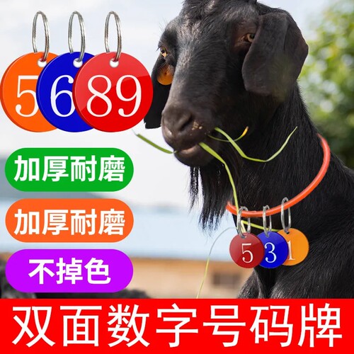羊用设备厂羊脖子项圈一次用10年
