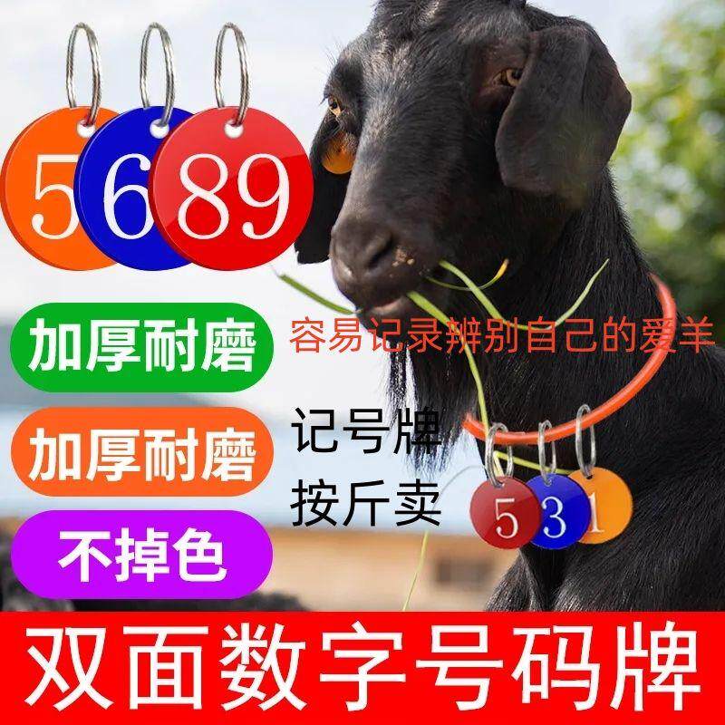 双面加厚数字号码牌羊项圈序号牌小羊脖子圈记号牌可定制颜色内容