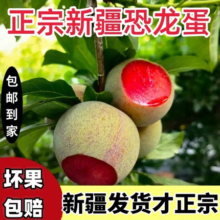 新疆恐龙蛋新鲜孕妇水果现摘现发稀有红肉杏李子包邮到家