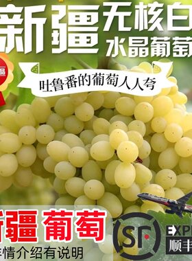 【累计热销10000箱】新疆葡萄