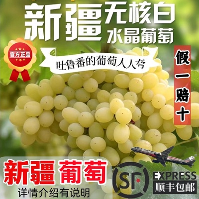【累计热销10000箱】新疆葡萄