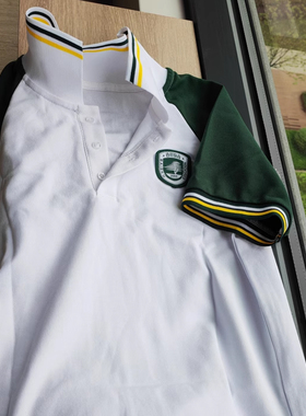 百树教育学生校服白色上衣拼绿色短袖高中小学生运动夏翻领pole衫