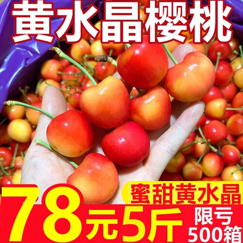 无中间商果园直发黄水晶大樱桃