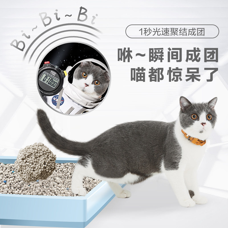 广东发猫砂今天发第二天到图片