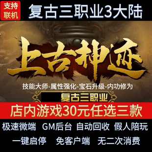 传奇单机电脑版上古神迹三职业三大陆复古假人GM后台微端联机联网