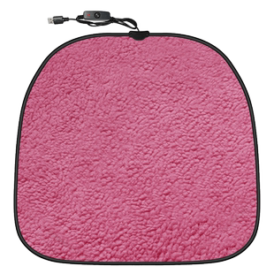 汽车电加热坐垫车载电褥子一拖二冬季保暖12伏主驾车用座椅加热垫