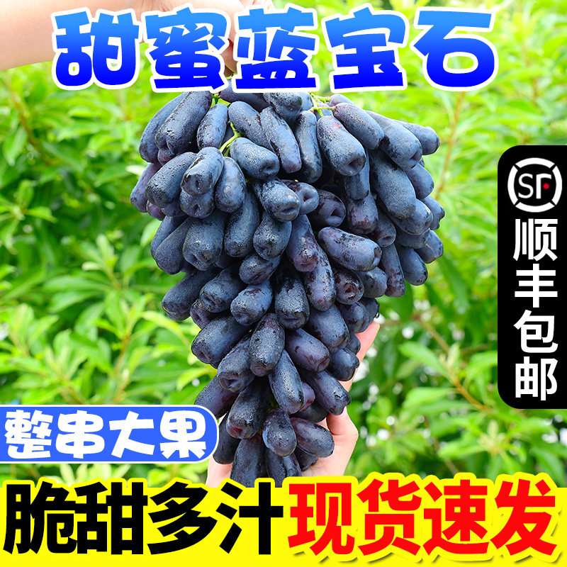 蓝宝石葡萄黑提新鲜孕妇无籽金手指葡萄美人指长形新鲜水果顺丰