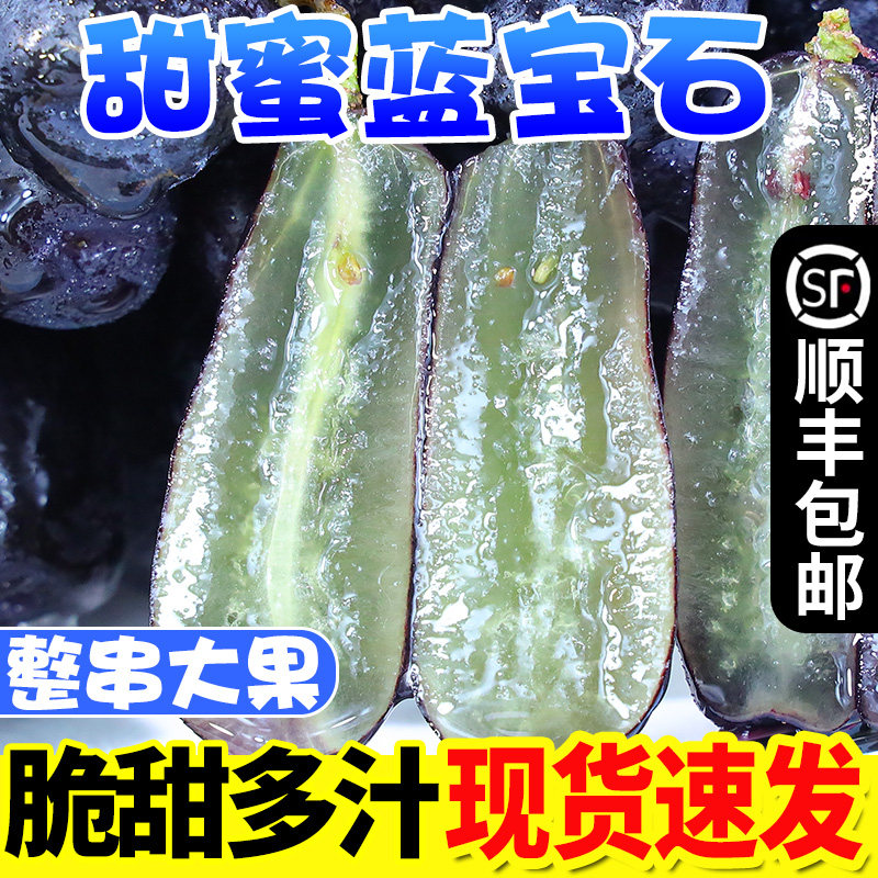 蓝宝石葡萄黑提新鲜孕妇无籽新鲜水果顺丰金手指葡萄美人指提子