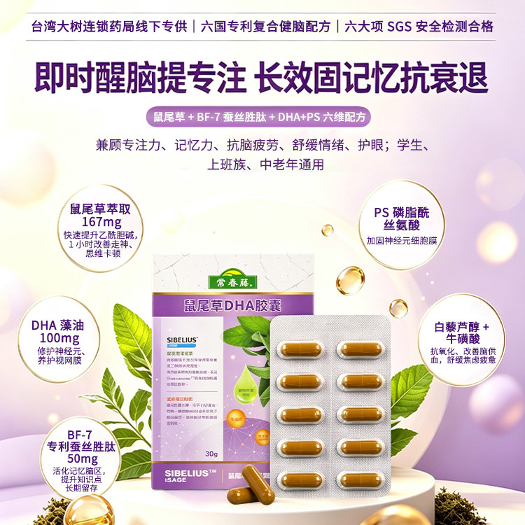 常春藤鼠尾草DHA胶囊台湾进口备考记忆力鼠尾草叶萃取物藻油粉TW