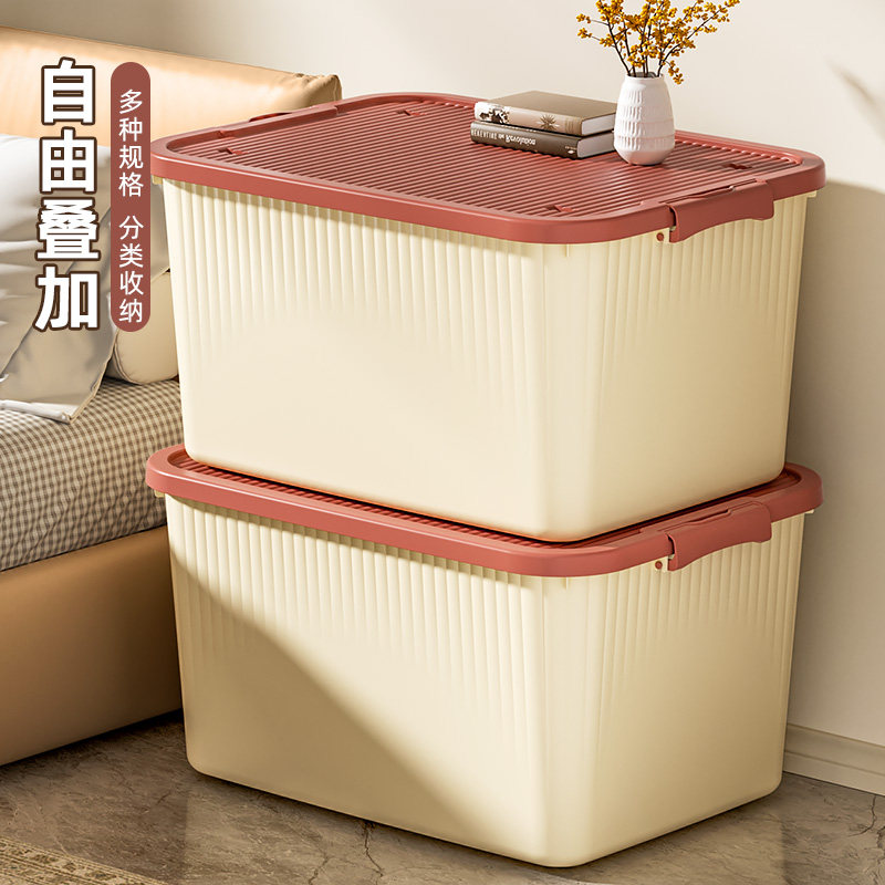 【买一送一】发2个大杂物收纳箱图片