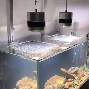 新款耐力板PC亚克力水族盖板海缸原生马口雷龙鱼防跳网定保温透气