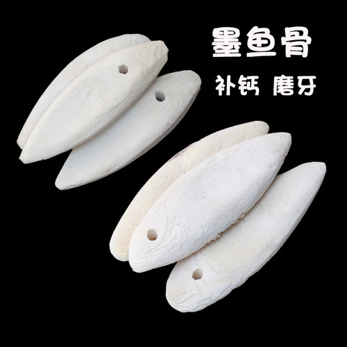特级鹦鹉专用打磨消毒补钙墨鱼骨海螵蛸虎皮鹦鹉墨鱼骨新一件包邮
