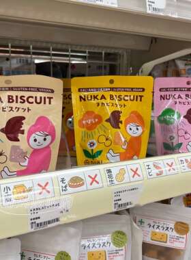 【直邮】日本no8i宝宝磨牙棒南瓜菠菜玄米饼干零食无蛋奶低敏1岁+