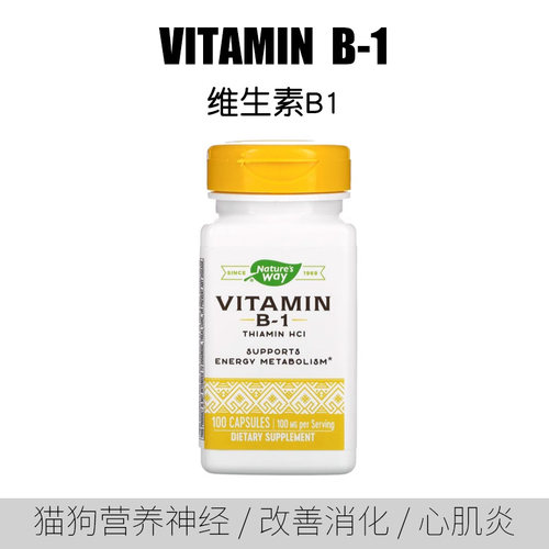 进口维生素B1硫胺素片宠物神经炎
