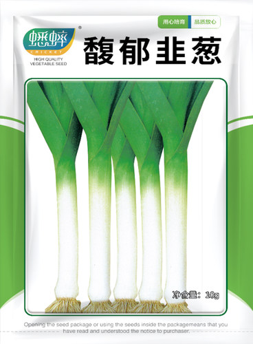 韭葱海蒜洋蒜苗种子扁叶葱籽