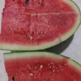 Большая черная красавица семена арбуза черная кожа арбуза семена песка весна на южная ферма с высокой фермой -yield 孑 孑