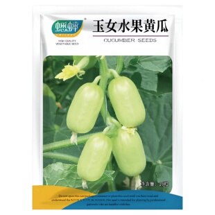 玉女水果黄瓜种子迷你黄瓜金童小黄瓜种籽苗阳台盆栽种孑蔬菜四季