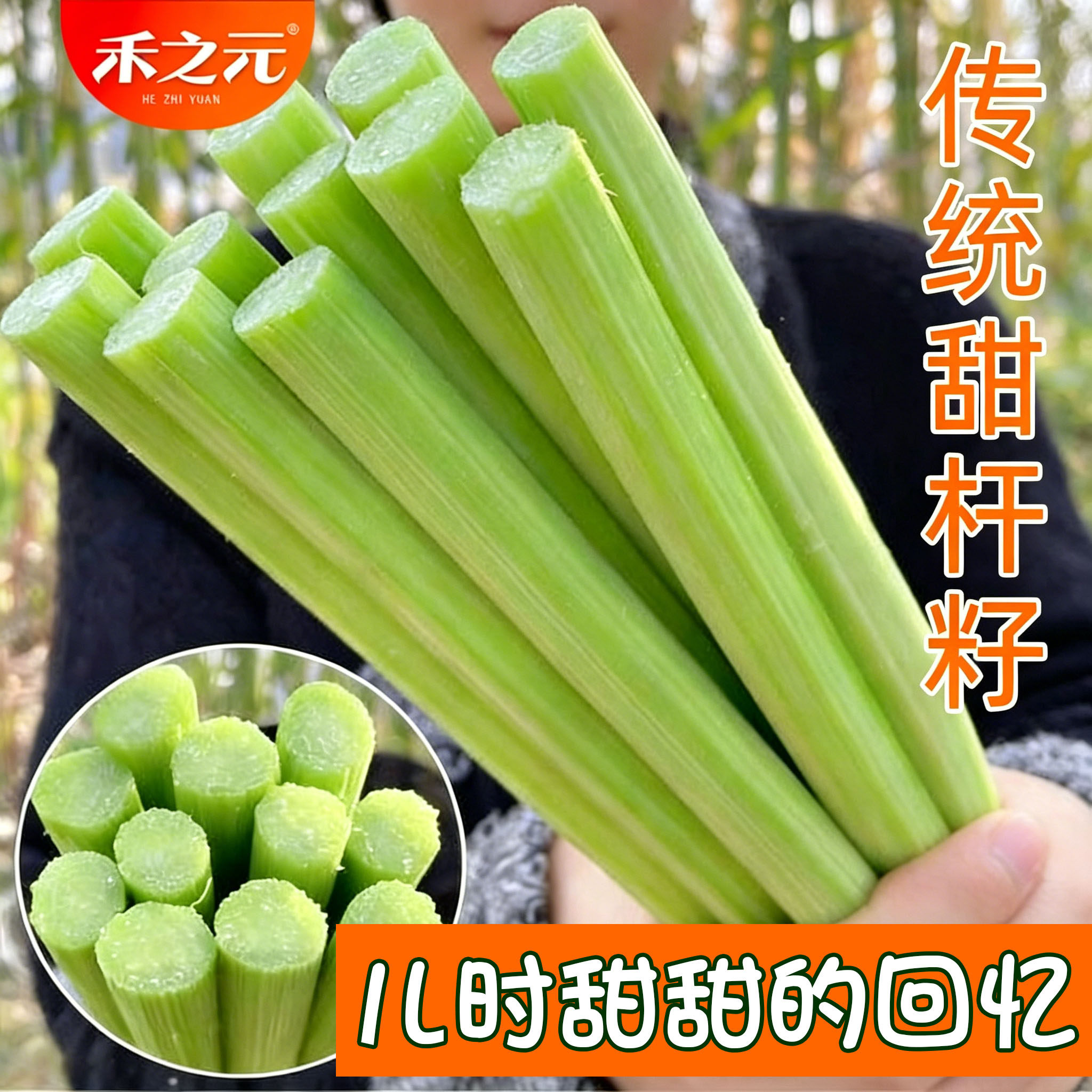 蟋蟀甜杆高粱杆春季四季种子图片