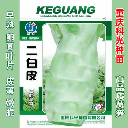 二白皮莴苣种籽早熟莴笋