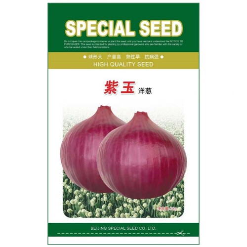 紫玉洋葱种子紫皮圆葱种籽
