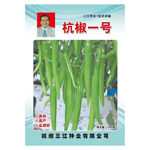 杭椒一二七号辣椒种子127杭椒辣椒香辣四季 蔬菜种孑禾之 种籽春季