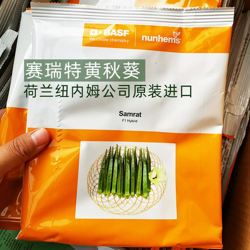 赛瑞特荷兰春夏四季黄秋葵种子