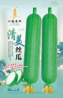 Qingmei Loofah Seeds 20 Оригинальный, ранний и средний гибрид