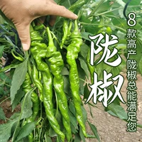 100 высоких больших сараев для Longjiao Miao для Open -Air