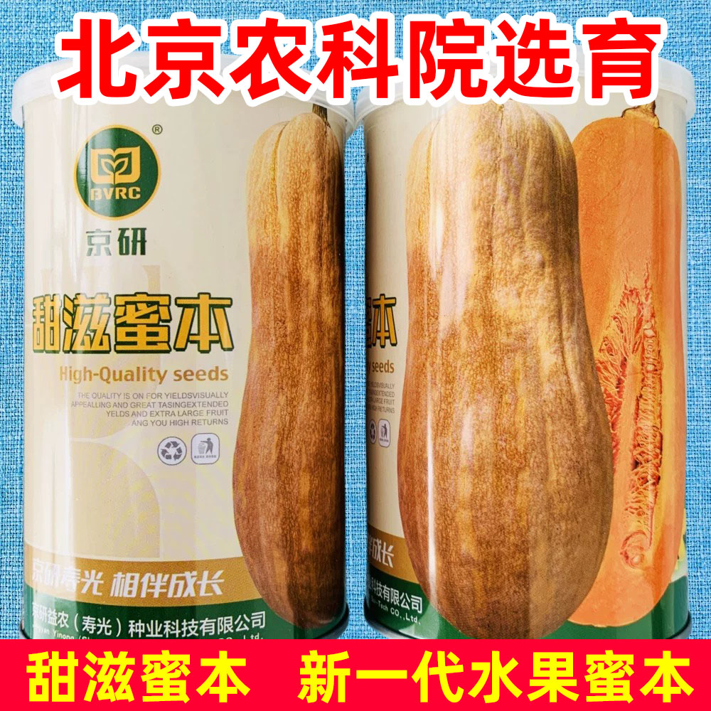 京研甜滋蜜本南瓜种子图片