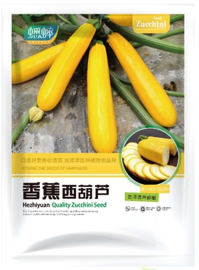香蕉西葫芦种子黄色金黄皮水果四季春季秋冬季高产蔬菜种孑种籽