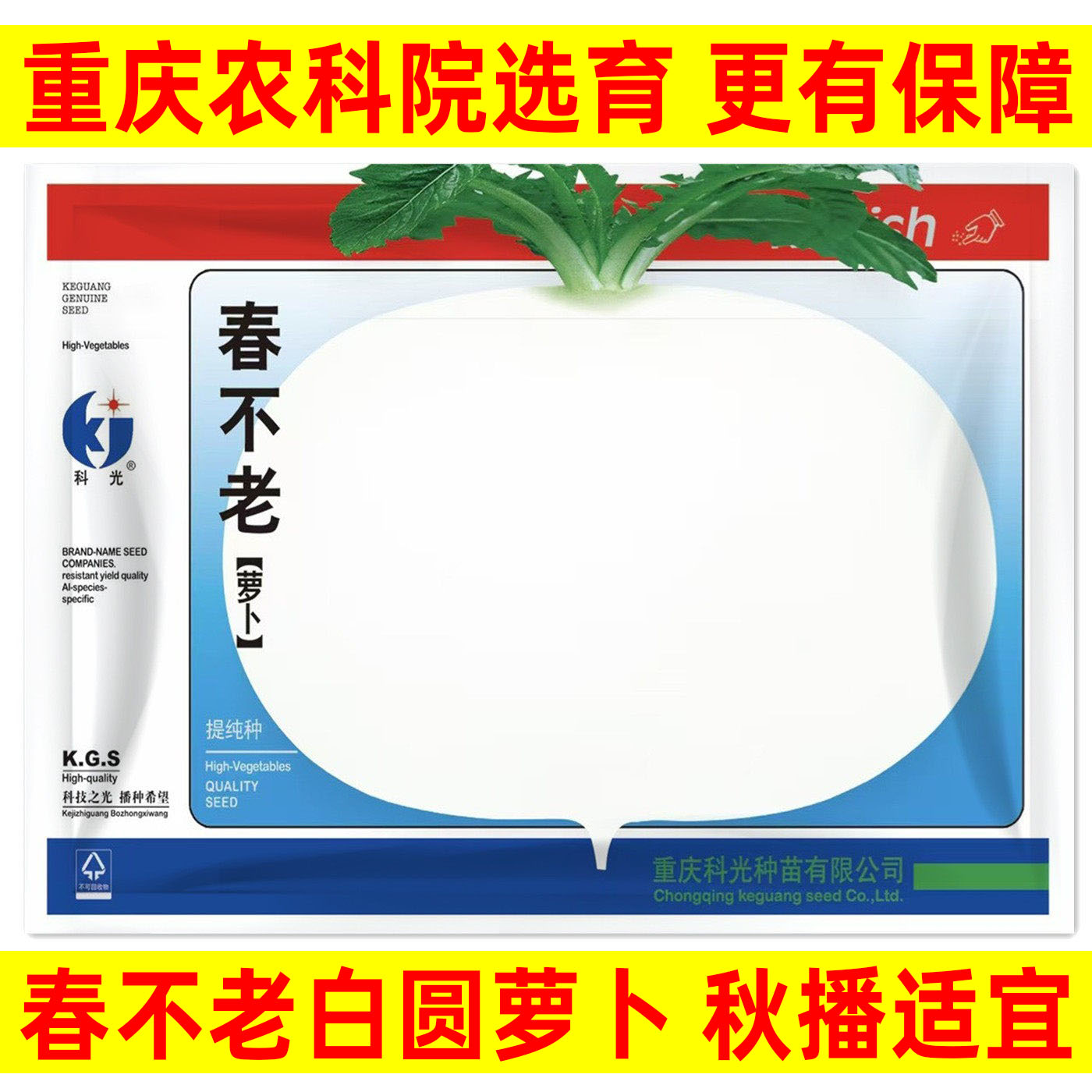 春不老大白圆萝卜种子白皮白肉秋图片