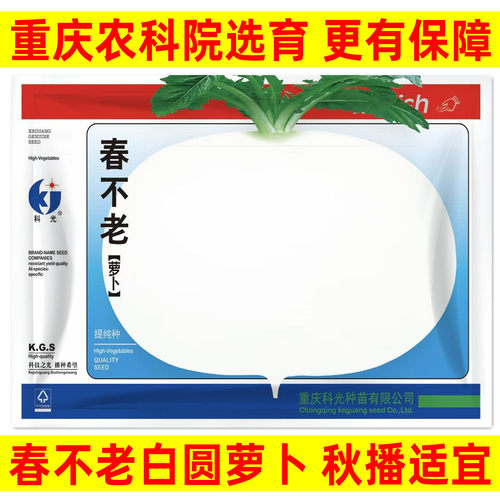 春不老大白圆萝卜种子白皮白肉秋