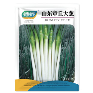 铁杆四季 秋冬季 章丘铁杆大葱种子大香葱铁杆型耐热抗寒章丘春季